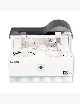 RX daytona Plus